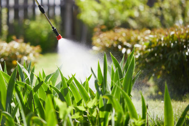 24/7 Emergency Mosquito Control experts in Fayetteville, NY